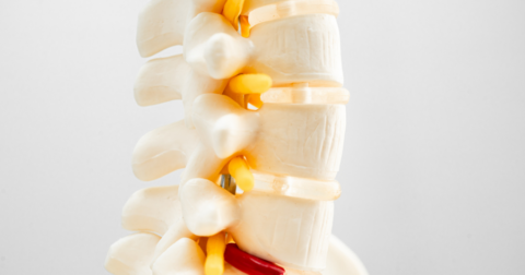 Cervical Spinal Stenosis Specialist Near Me In Chicago, Il 