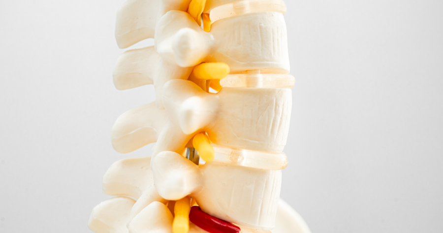 Spondylolisthesis Specialist in Chicago, IL<br />
